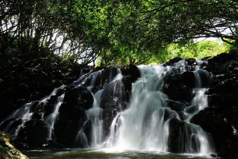 Mauritius Nationalpark